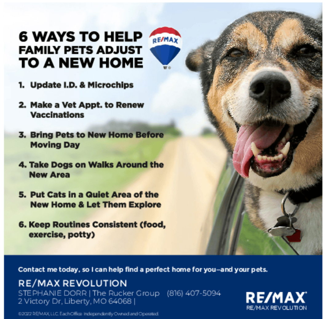 Help Family Pets Adjust to a New Home.png
