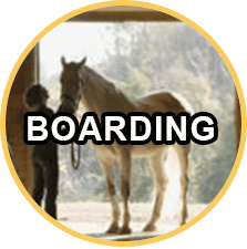 Tucson Horse Boarding and Stables