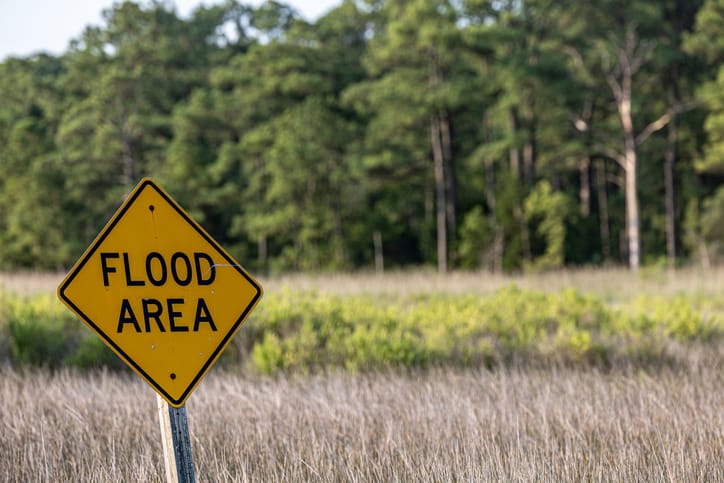 A FLOOD ZONE sign in a forested area.