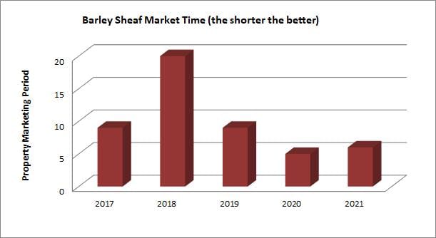 Market time 2021.jpg