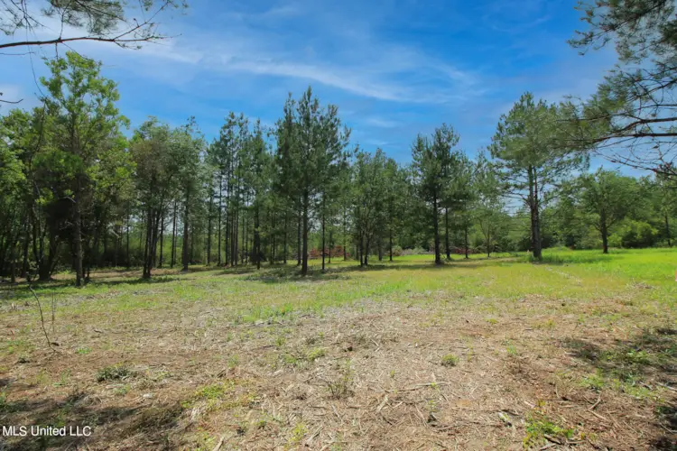 23 Ac Hinton Road, Lucedale, MS 39452