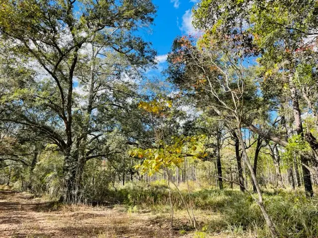 Pace Nursery Rd Timber Tract, Mobile, AL 36608