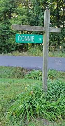 Connie Street, Otterville, MO 65348