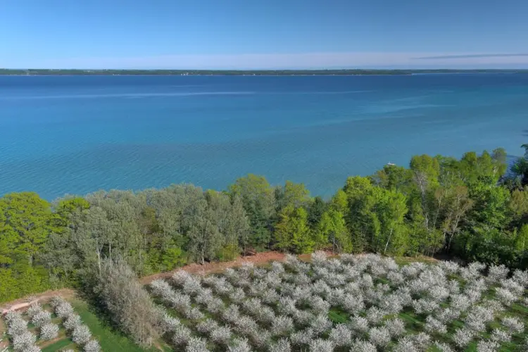S Lee Point Road, Suttons Bay, MI 49682