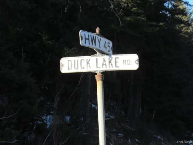 TBD W Duck Lake Road, Watersmeet, MI 49969