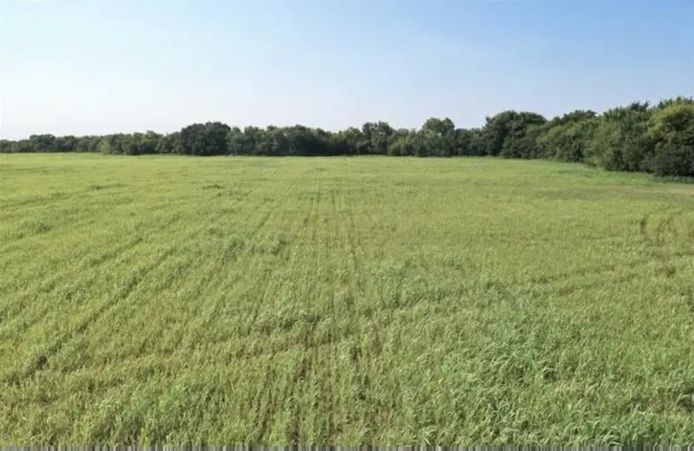 25 AC County Rd 4615, Wolfe City, TX 75496