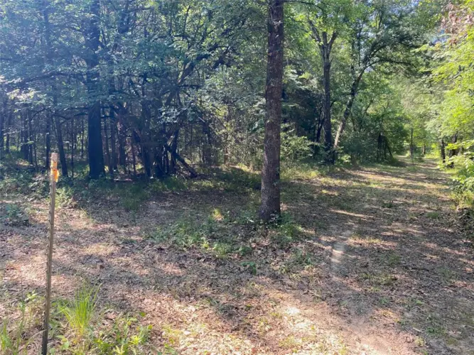 TBD 60 acres Rs County Road 4452, Point, TX 75472