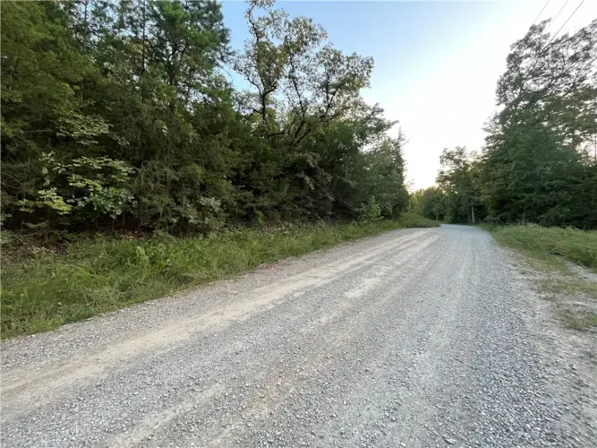 001-01670-000 Hopewell Hollow Road, Norfork, AR 72658
