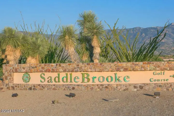 63372 E Flower Ridge Drive, Saddlebrooke, AZ 85739