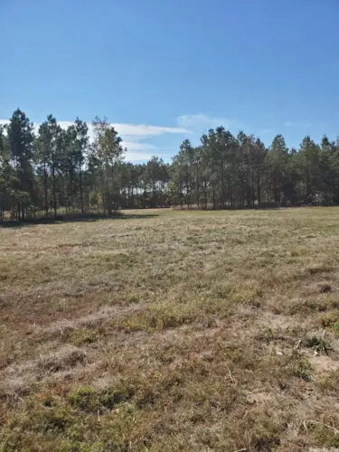 Lot 2 Young Pines, Rison, AR 71665