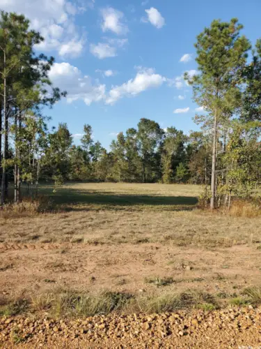 Lot 12 Young Pines, Rison, AR 71665