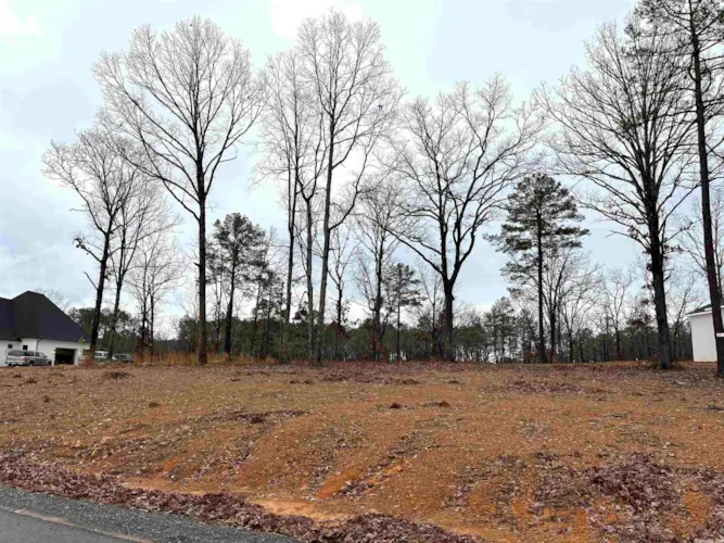 2965 Orchard View (LOT 12) Drive, Conway, AR 72034