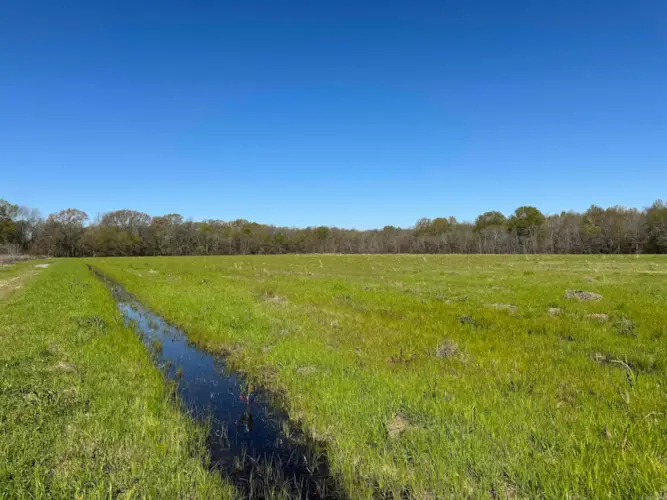Vacant land Cater lane, McGehee, AR 71654