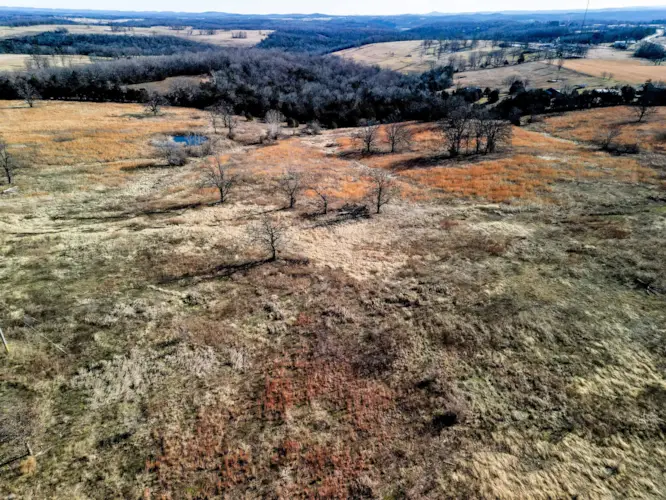 000 State Highway 95  #Lot 4, Theodosia, MO 65761